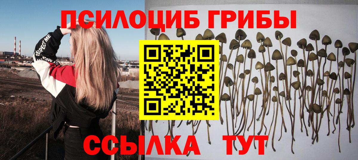 Галлюциногенные грибы Cubensis  Вход с VPN  Галлюциногенные грибы Magic Shrooms  Котельники 