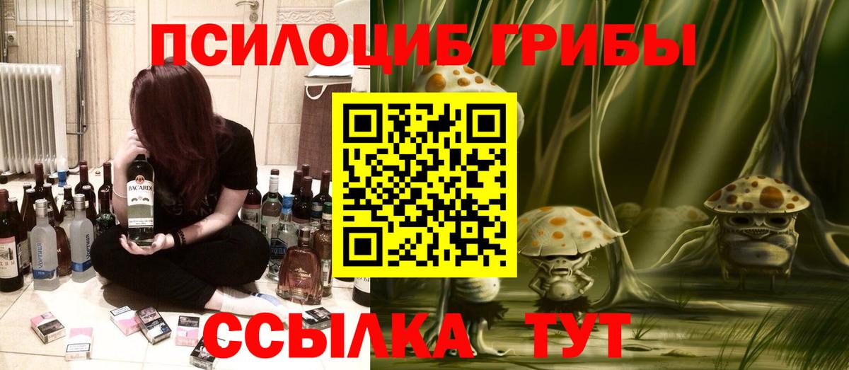 Псилоцибиновые грибы прущие грибы Котельники